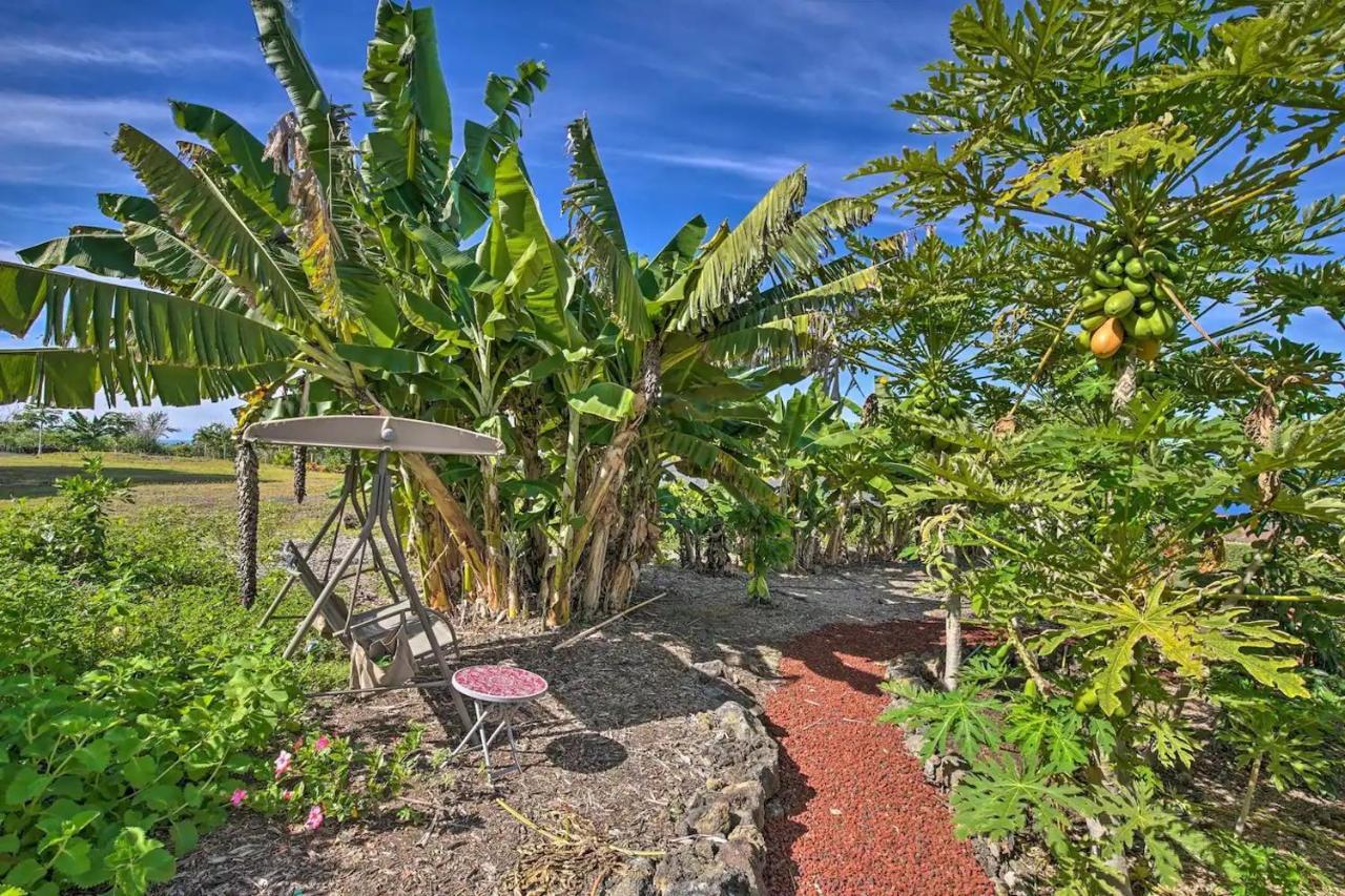Tranquility Guest House Holualoa Extérieur photo